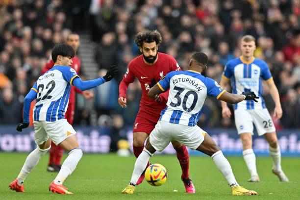 的篮球赛季 的篮球赛季