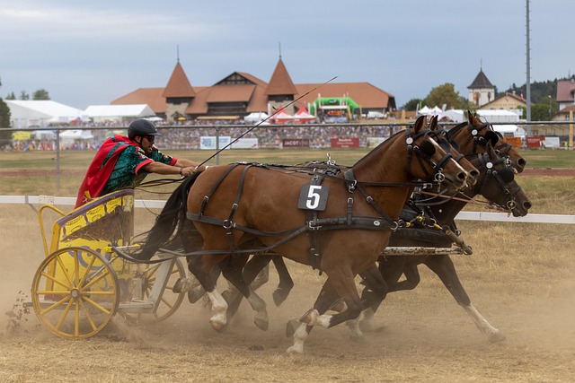 重要武器 重要武器