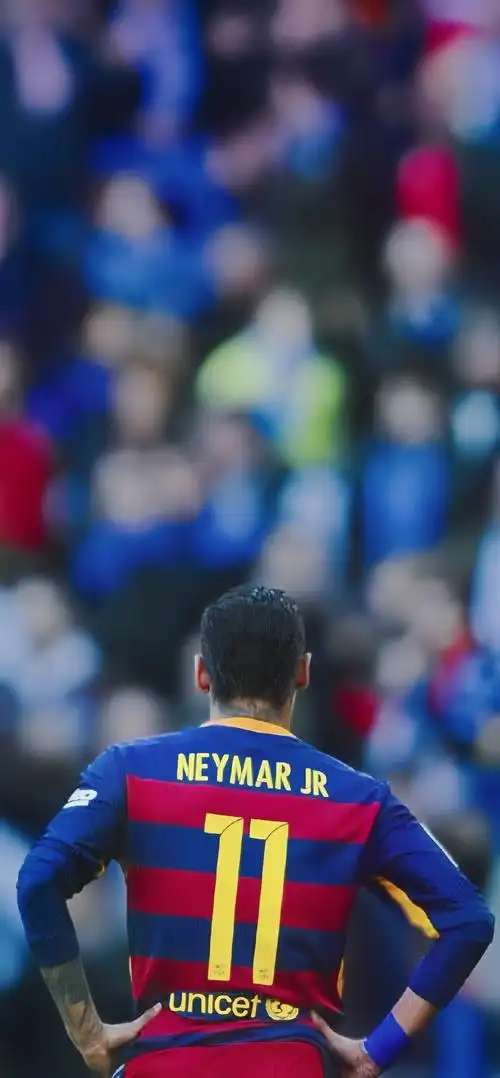 弗拉霍维奇 弗拉霍维奇